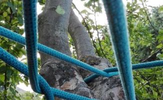 LandArt Henri